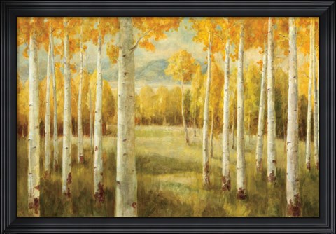 Framed Aspens Print