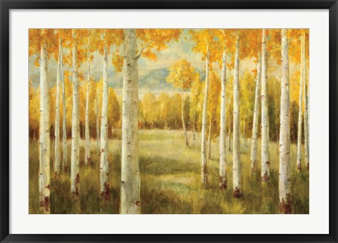 Framed Aspens Print