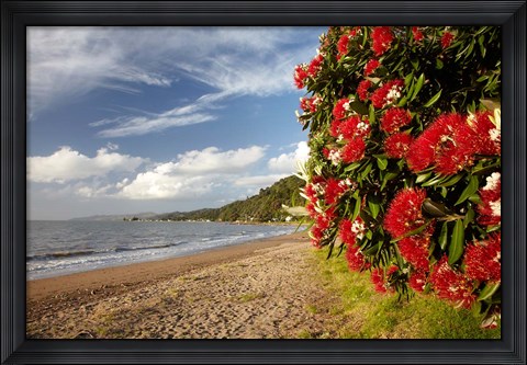 Framed Beach, Pohutukawa, Thornton Bay, No Island, New Zealand Print