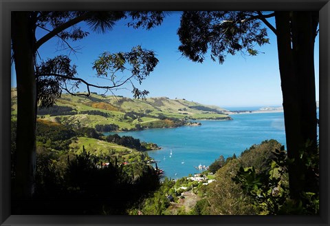 Framed Careys Bay, Otago Harbour, South Island, New Zealand Print