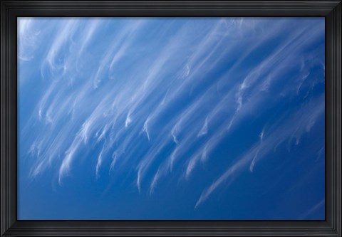 Framed Cirrus Clouds, Dunedin, Otago, South Island, New Zealand Print