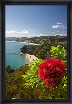 Framed Coastline, Cooks Beach, North Island, New Zealand Print