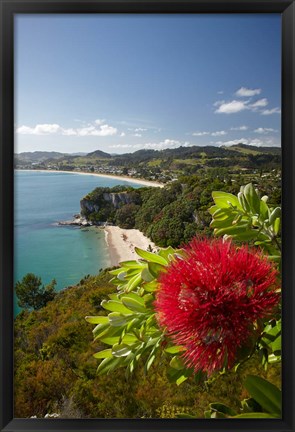 Framed Coastline, Cooks Beach, North Island, New Zealand Print
