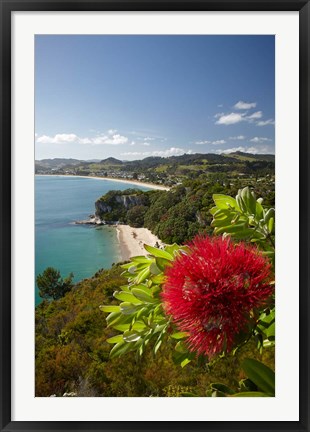 Framed Coastline, Cooks Beach, North Island, New Zealand Print