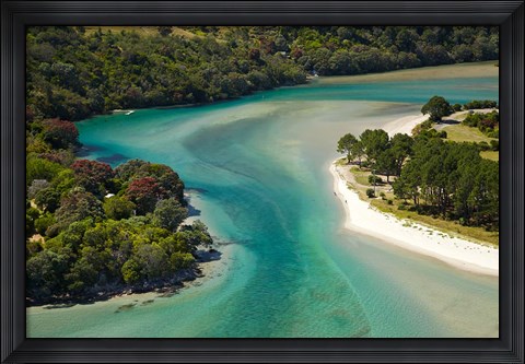 Framed Cooks Beach, North Island, New Zealand Print