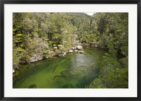 Framed Falls River, Abel Tasman, South Island, New Zealand Print