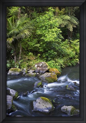 Framed New Zealand, Hatea River, Whangarei Falls, Northland Print