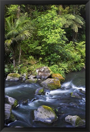 Framed New Zealand, Hatea River, Whangarei Falls, Northland Print