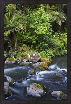 Framed New Zealand, Hatea River, Whangarei Falls, Northland Print