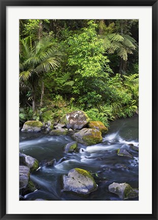 Framed New Zealand, Hatea River, Whangarei Falls, Northland Print