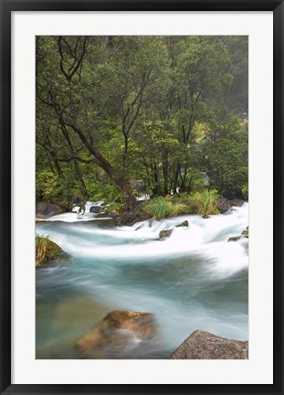 Framed New Zealand, North Island, Rapids on Tarawera River Print