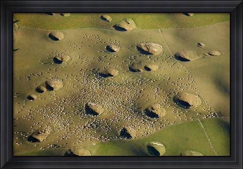 Framed New Zealand, South Island, Sinkholes, Sheep, Agriculture Print