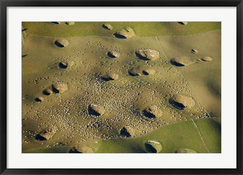Framed New Zealand, South Island, Sinkholes, Sheep, Agriculture Print