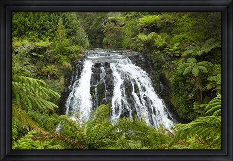 Framed Owharoa Falls, Karangahake Gorge, Waikato, North Island, New Zealand Print