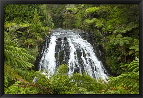 Framed Owharoa Falls, Karangahake Gorge, Waikato, North Island, New Zealand Print