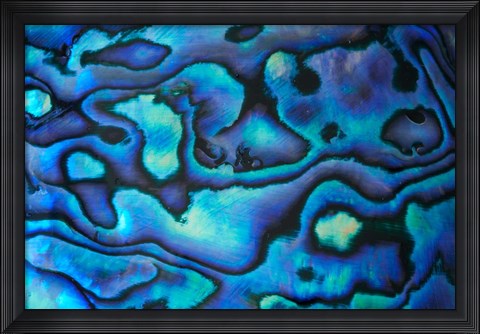 Framed Pattern of Paua Shell, New Zealand Print