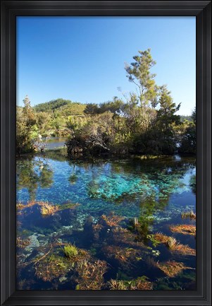 Framed Pupu Springs, Golden Bay, South Island, New Zealand Print