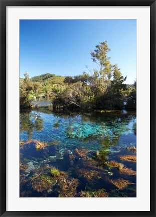 Framed Pupu Springs, Golden Bay, South Island, New Zealand Print
