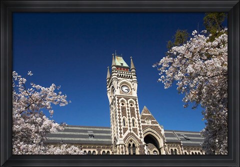 Framed Spring, Clock Tower, Dunedin, South Island, New Zealand (horizontal) Print