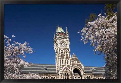 Framed Spring, Clock Tower, Dunedin, South Island, New Zealand (horizontal) Print