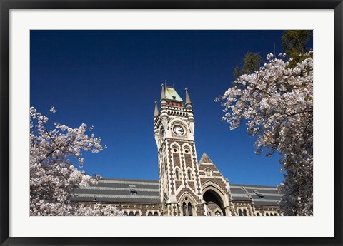 Framed Spring, Clock Tower, Dunedin, South Island, New Zealand (horizontal) Print