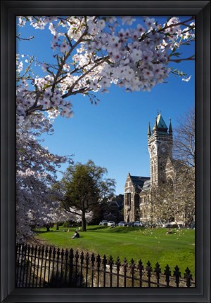 Framed Spring, Clock Tower, Dunedin, South Island, New Zealand (vertical) Print