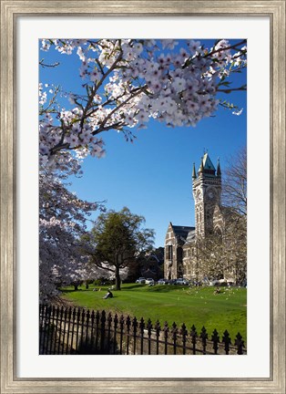 Framed Spring, Clock Tower, Dunedin, South Island, New Zealand (vertical) Print