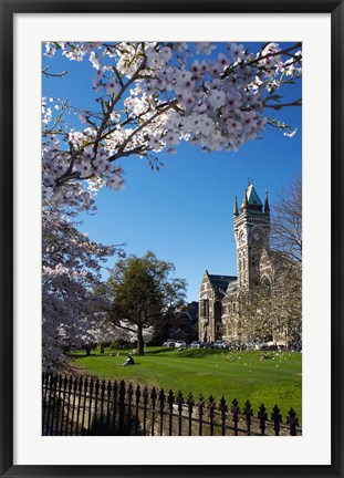 Framed Spring, Clock Tower, Dunedin, South Island, New Zealand (vertical) Print