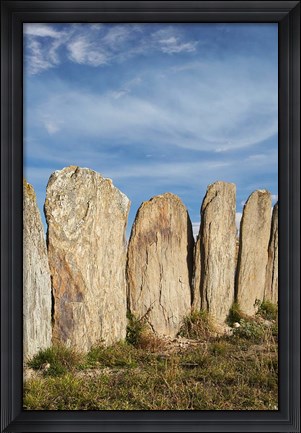 Framed Stone sheep yards, Middlemarch, South Island, New Zealand Print