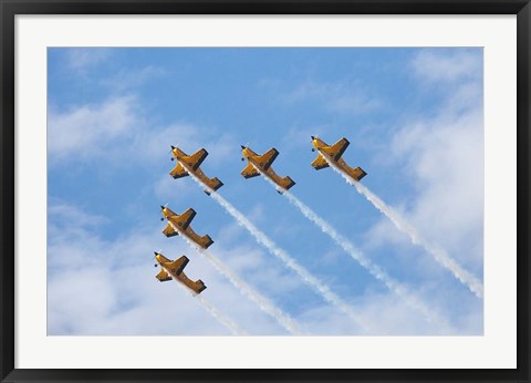 Framed Vintage Airplanes Print