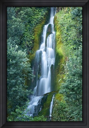 Framed Waterfall, Centennial Gardens, Napier, Hawkes Bay, North Island, New Zealand Print