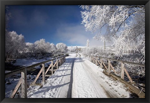 Framed Winter, Bridge, Maniototo, South Island, New Zealand Print