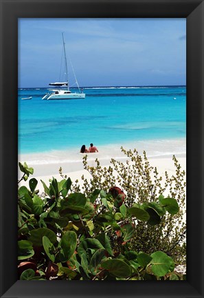 Framed Swimming the waters of Prickly Pear Island with Festiva Sailing Vacations Print