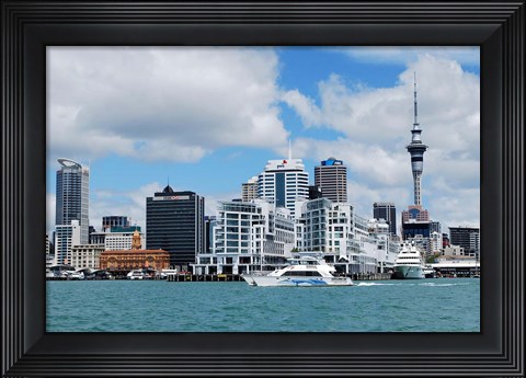 Framed Auckland Museum, Auckland, New Zealand Print