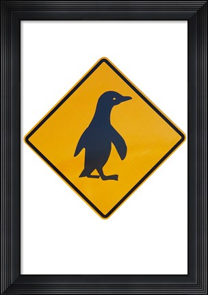 Framed Penguin Warning Sign, New Zealand Print