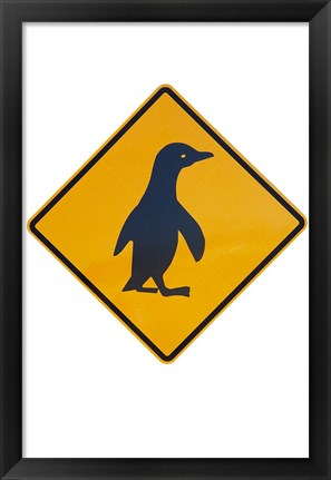 Framed Penguin Warning Sign, New Zealand Print