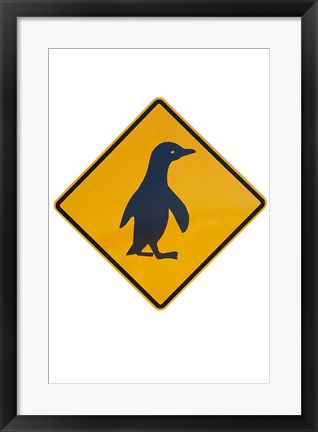 Framed Penguin Warning Sign, New Zealand Print