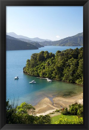 Framed Whenuanui, Becks Bay, Marlborough Sounds, South Island, New Zealand Print