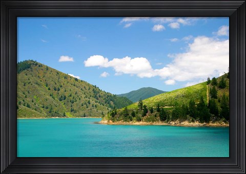 Framed New Zealand, Cook Straight, Picton harbor Print