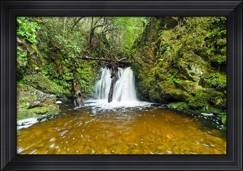 Framed New Zealand, South Island, Hurunui, Waterfall Print