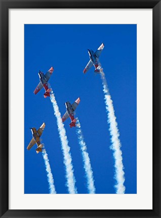 Framed Aerobatic display by North American Harvards, or T-6 Texans, or SNJ, Airshow Print