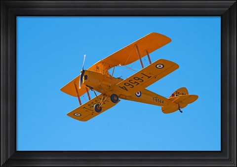 Framed De Havilland DH 82A Tiger Moth Biplane, Warbirds over Wanaka, Airshow, New Zealand Print
