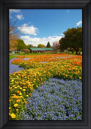 Framed Flower garden, Pollard Park, Blenheim, Marlborough, South Island, New Zealand (vertical) Print