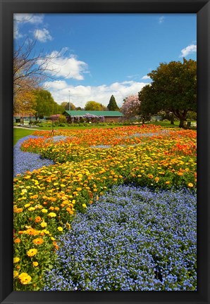 Framed Flower garden, Pollard Park, Blenheim, Marlborough, South Island, New Zealand (vertical) Print