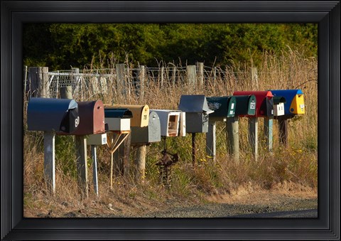 Framed Rural Letterboxes, Otago Peninsula, Dunedin, South Island, New Zealand Print