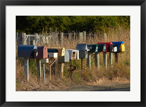 Framed Rural Letterboxes, Otago Peninsula, Dunedin, South Island, New Zealand Print