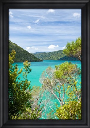 Framed New Zealand, South Island, Marlborough, Nydia Bay Print