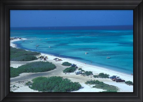Framed Palm Beach,  Aruba, Caribbean Print