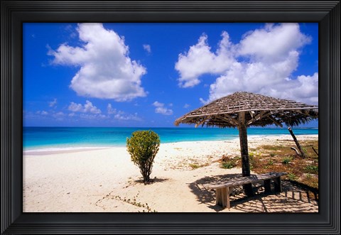 Framed Coco Point Beach, Barbuda, Antigua Print