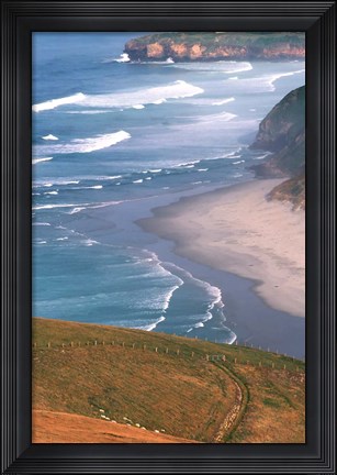Framed New Zealand, South Island, Otago Coast Print